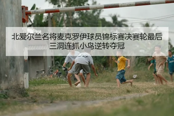 北爱尔兰名将麦克罗伊球员锦标赛决赛轮最后三洞连抓小鸟逆转夺冠